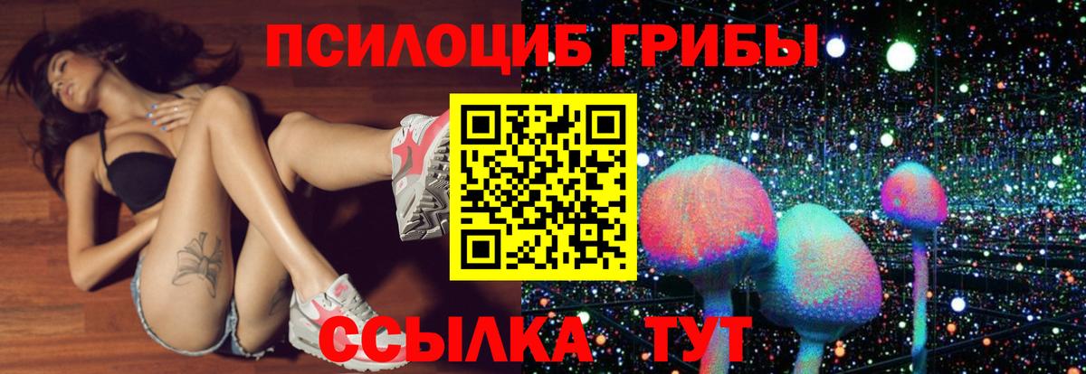 Галлюциногенные грибы мицелий  Вход с VPN  Лесной 